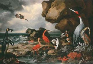 Philip Reinagle, R.A. - A penguin, a pair of flamingoes and other exotic birds, shells and coral on the shoreline