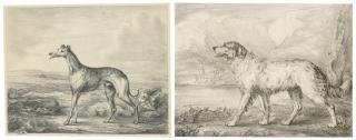 Philip Reinagle, R.A. - Studies of a Newfoundland and \'Major\', a Greyhound