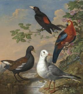 Philip Reinagle - A Moorhen, A Gull, A Scarlet Macaw And Red-Rumped A Cacique By A Stream In A Landscape