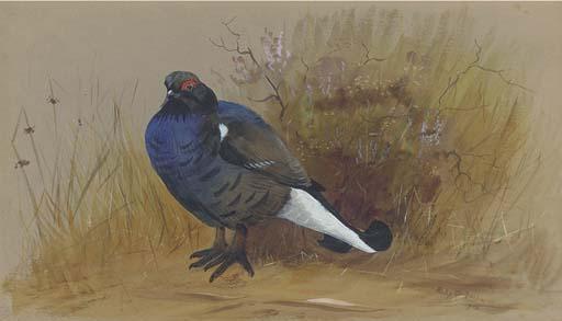 Philip Rickman - A Blackcock