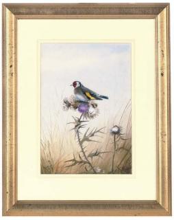 Philip Rickman - A goldfinch perched on a thistle