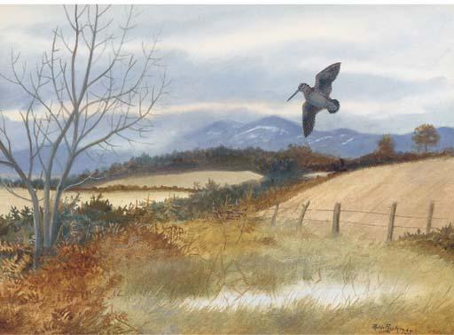 Philip Rickman - \'Its Away, Woodcock\'