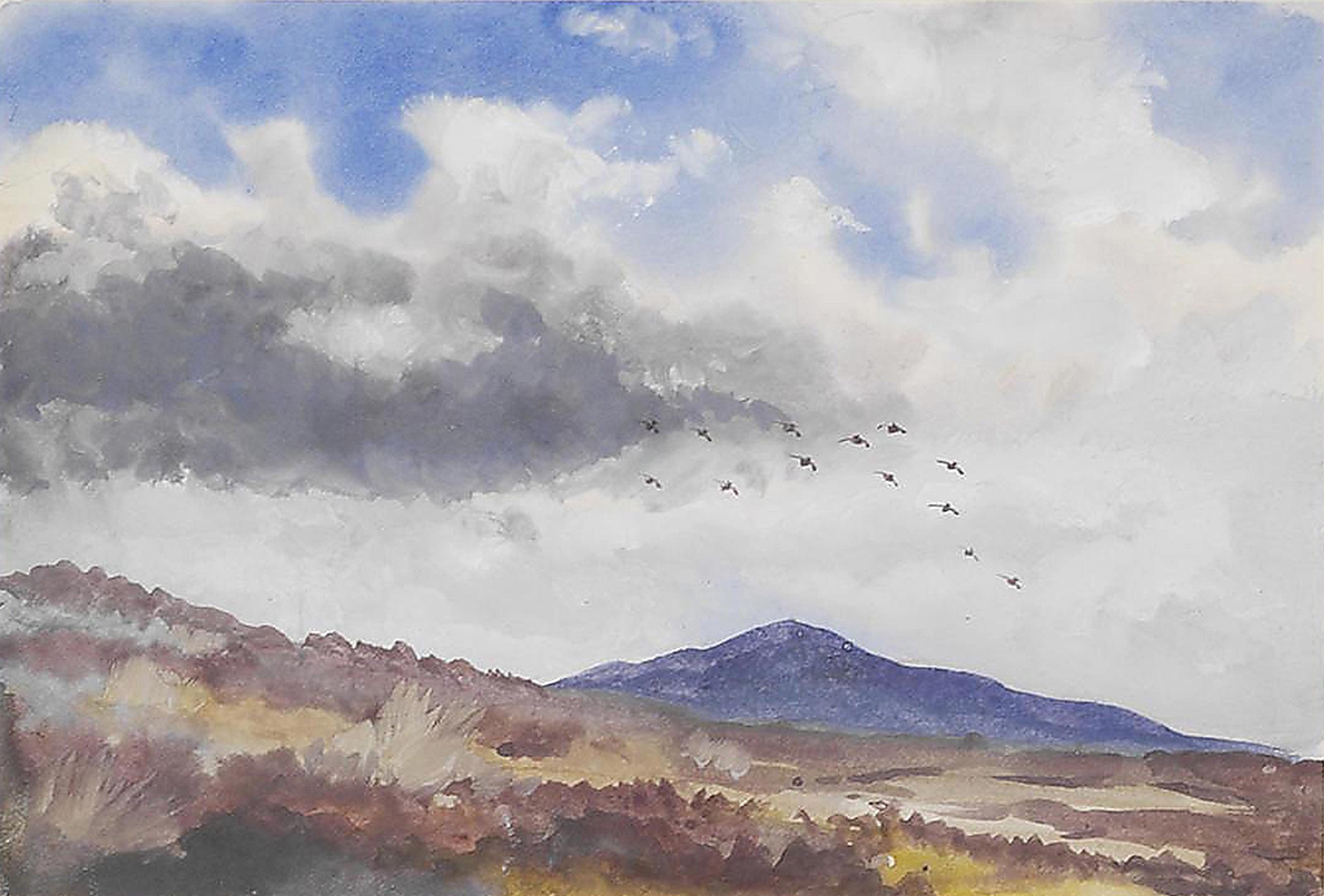Philip Rickman - Landscape studies: A covey of grouse above moorland, Eskhill; A capercaillie in flight among pines, Montreithment Moor; Blackgame in a landscape, between Forfar and Blhy; Pheasant in clearing