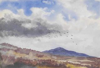 Philip Rickman - Landscape studies: A covey of grouse above moorland, Eskhill; A capercaillie in flight among pines, Montreithment Moor; Blackgame in a landscape, between Forfar and Blhy; Pheasant in clearing