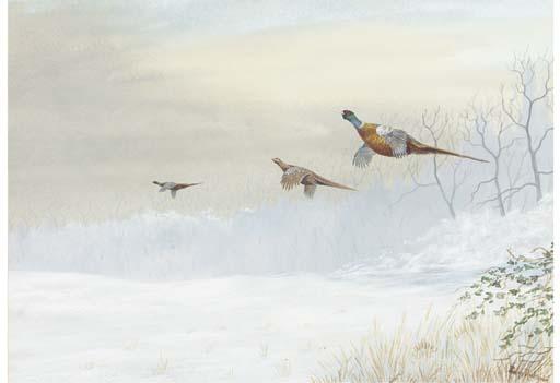 Philip Rickman - Pheasants in a winter landscape; and Ducks over a marsh