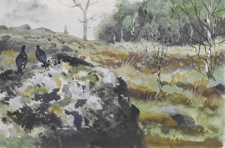 Philip Rickman - Ptarmigan; Blackgame, Balnasboth; Pheasant in a clearing; Blackgame in flight; and Ptarmigan, Balnasboth