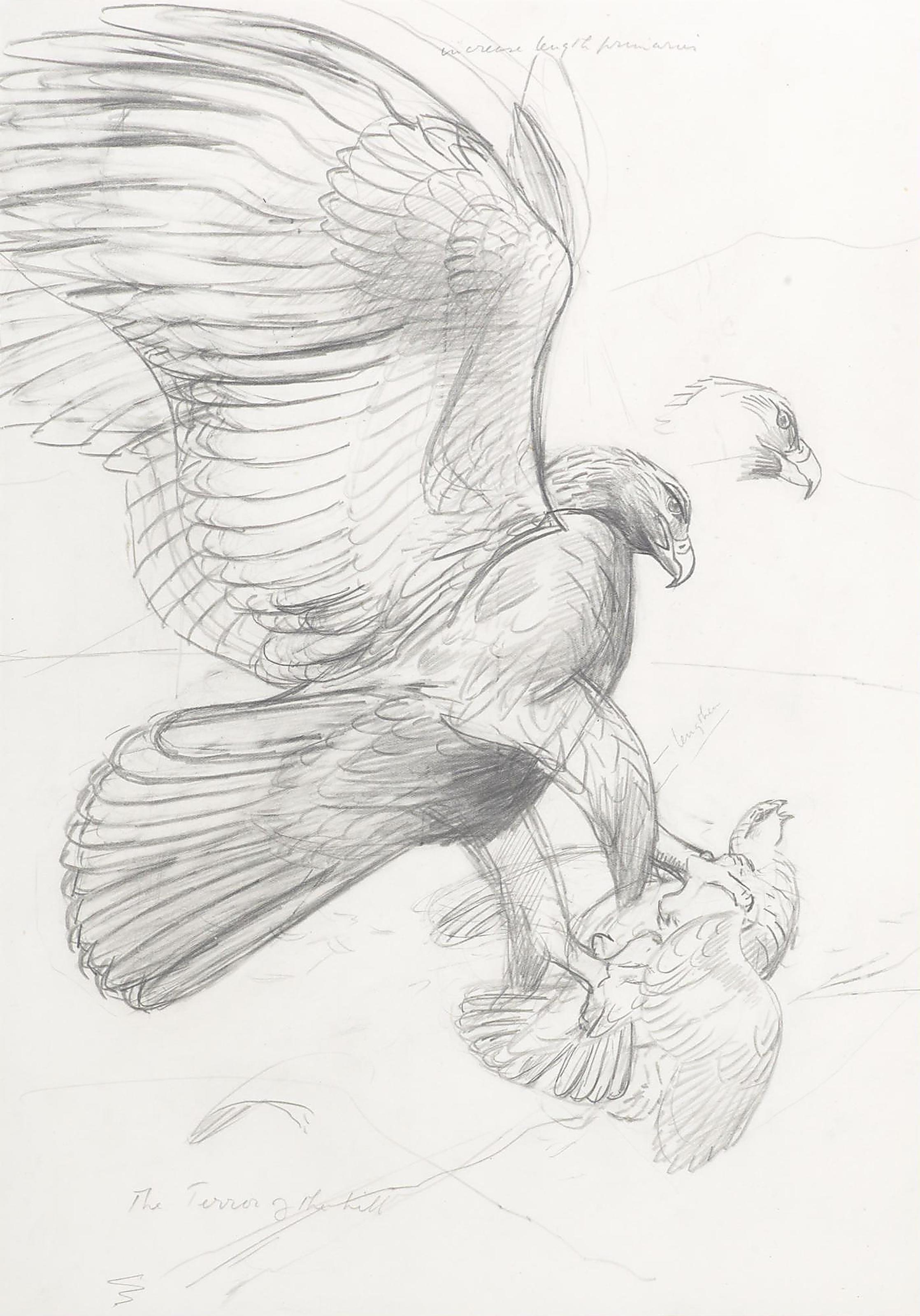 Philip Rickman - Six studies of eagles