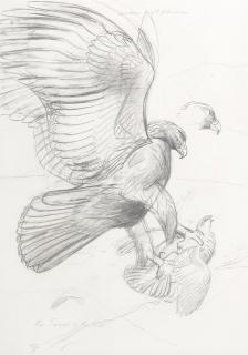 Philip Rickman - Six studies of eagles