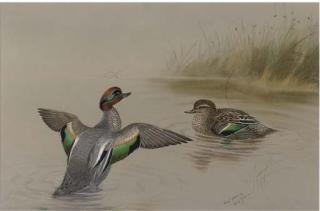 Philip Rickman - Teal Preaning