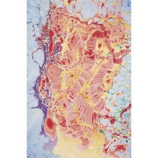 Philip Taaffe - Melting Head