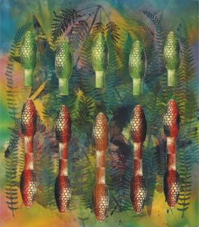 Philip Taaffe - Sphenopsida