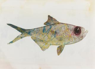 Philip Taaffe - Untitled (Big Eyed Fish)