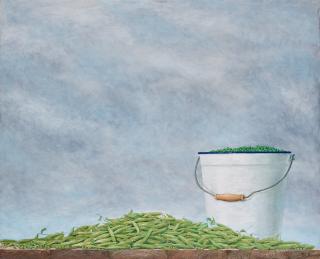 Philip von Schantz - Bucket with sugar snap peas