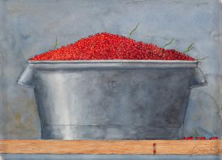 Philip von Schantz - Red currant