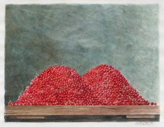 Philip von Schantz - Röda vinbär.