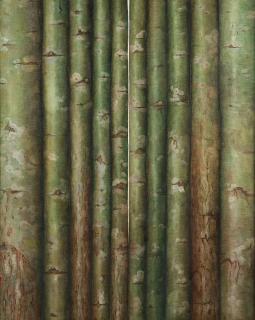 Philip von Schantz - Untitled