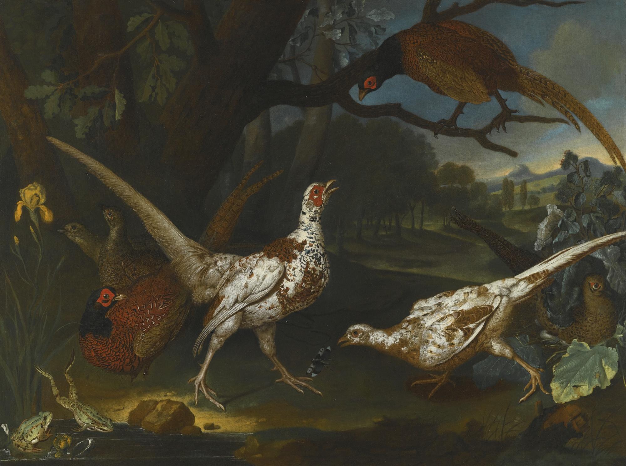 Philipp Ferdinand De Hamilton - Oriental Pheasants By A Pond In A Wooded Landscape