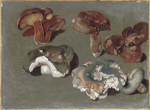 Philipp Ferdinand de Hamilton - Studies of Fungi: The Lower Three Are Russula Cyanoxantha, \'The Charcoal Burner\'