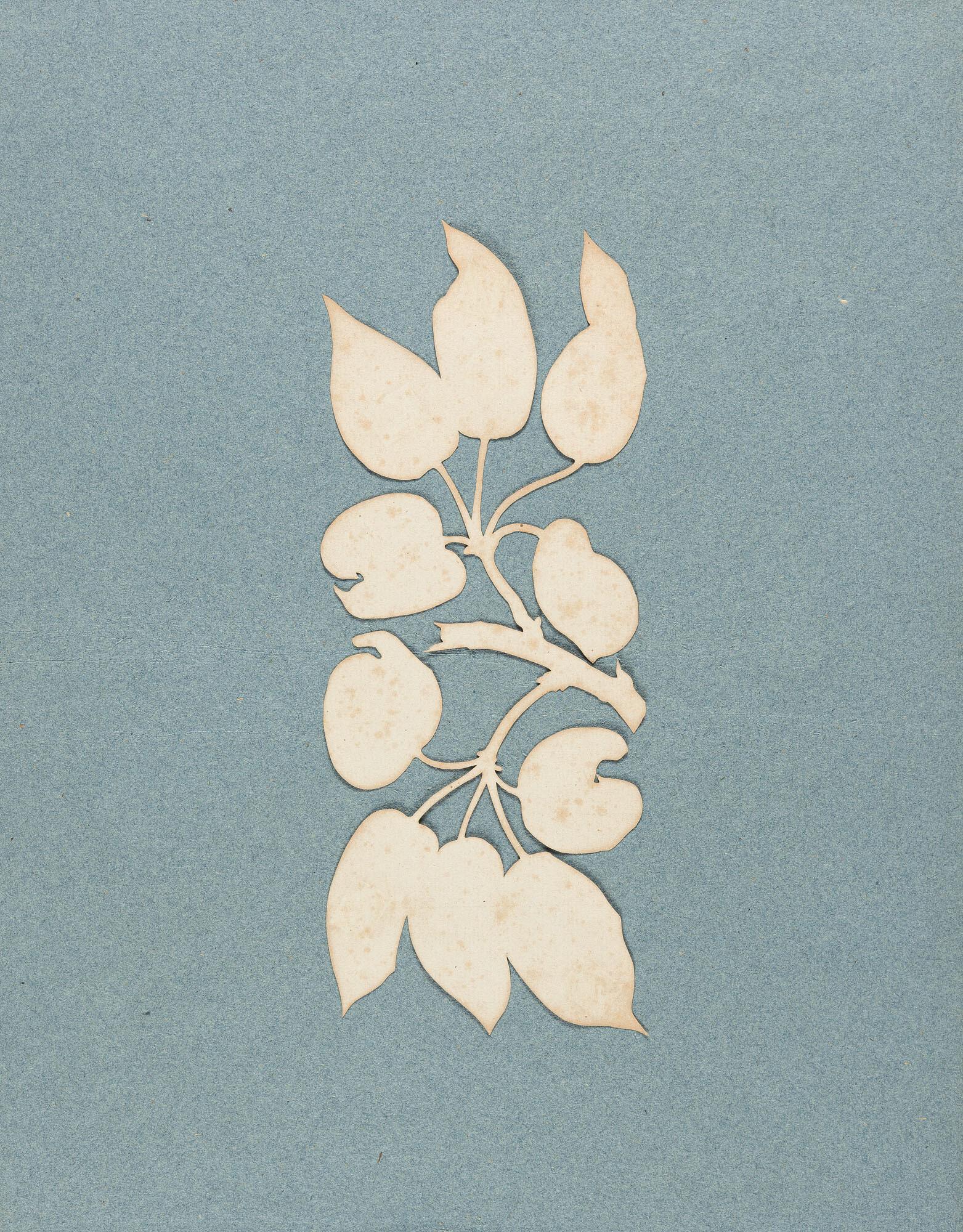 Philipp Otto Runge - Birnenzweig.