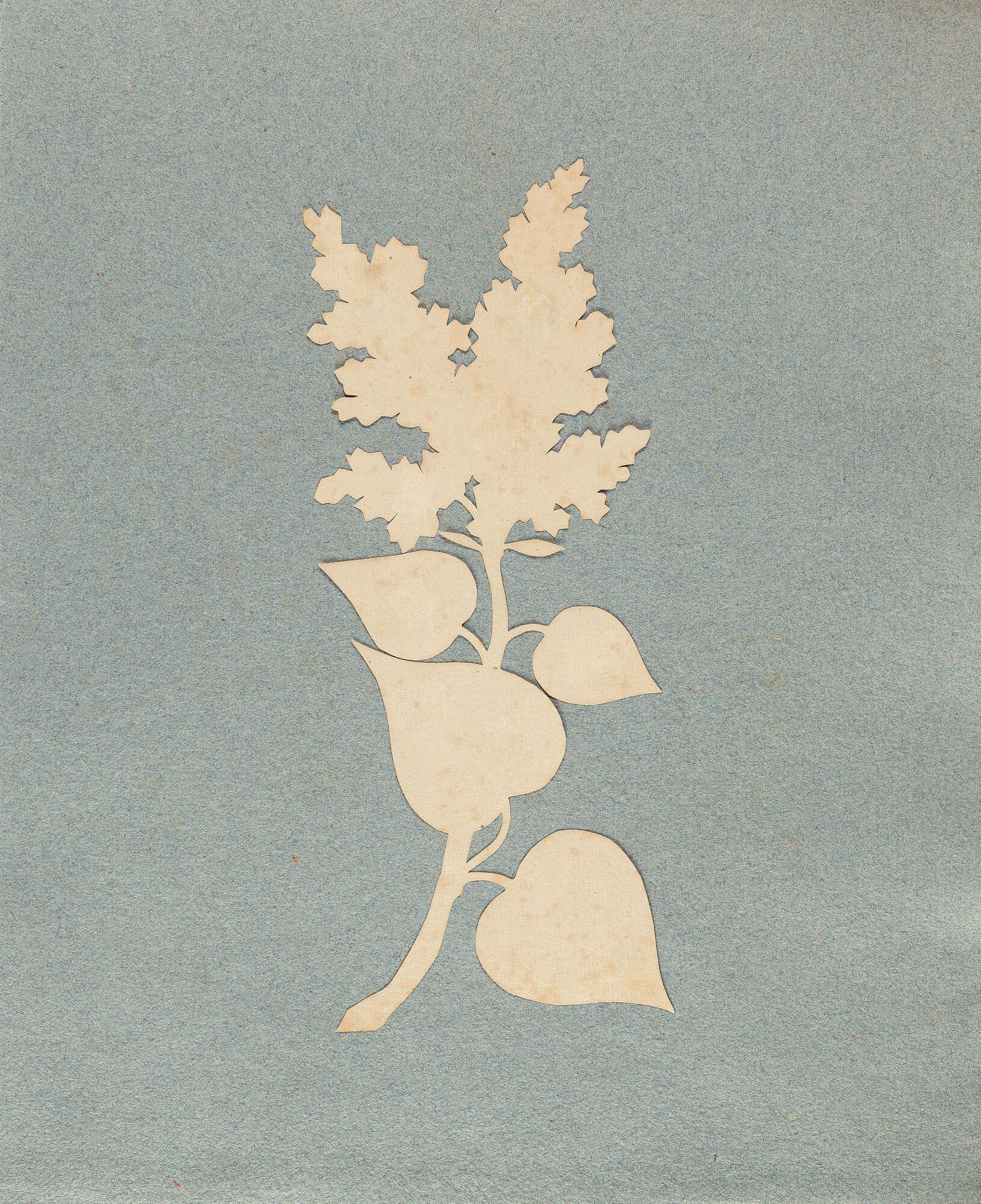 Philipp Otto Runge - Flieder.