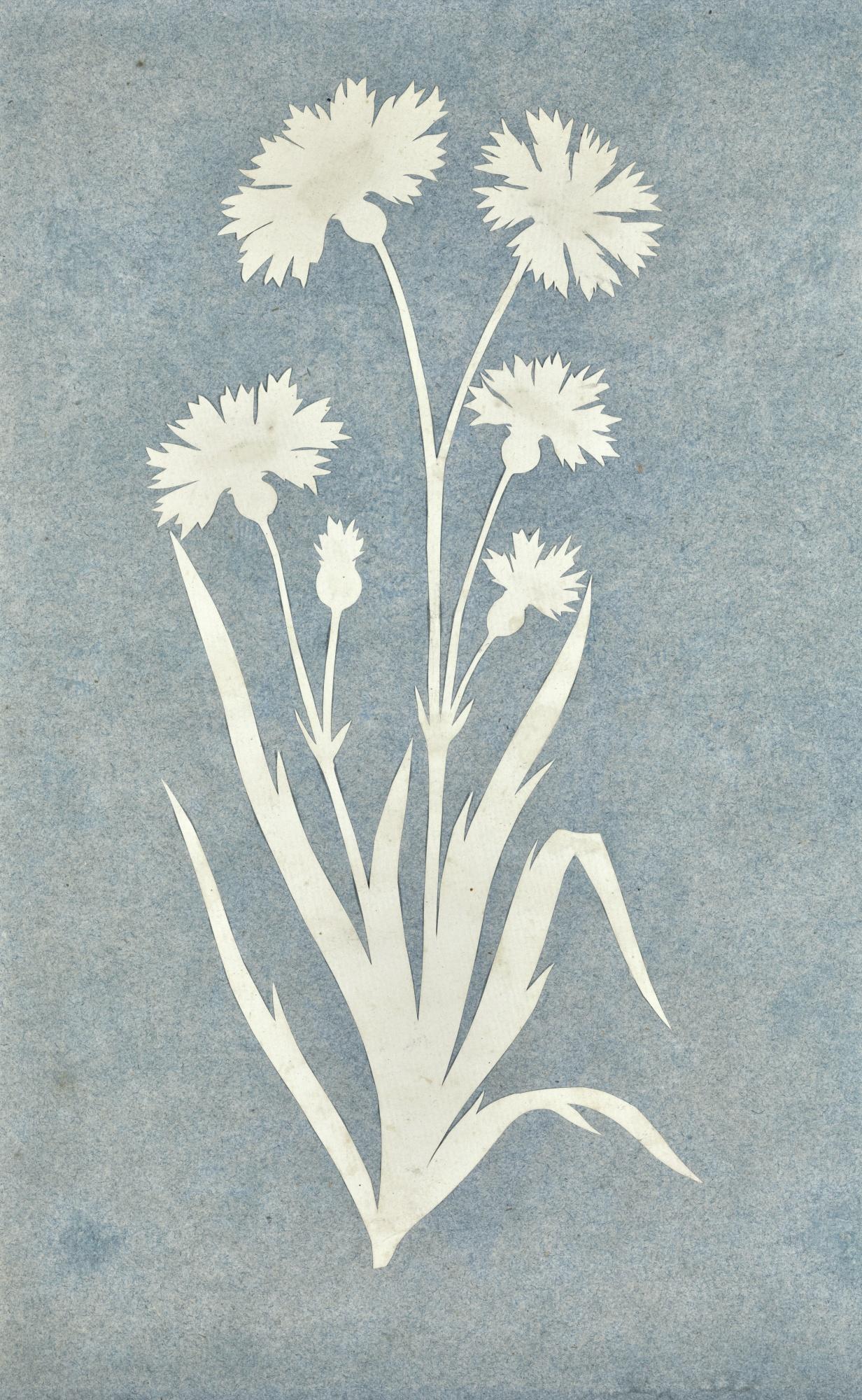 Philipp Otto Runge - German cornflower