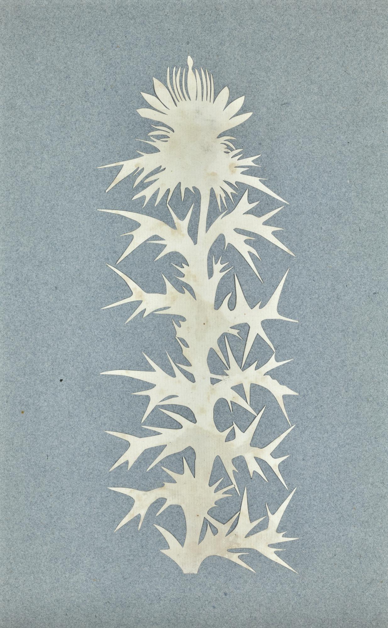 Philipp Otto Runge - German thistle