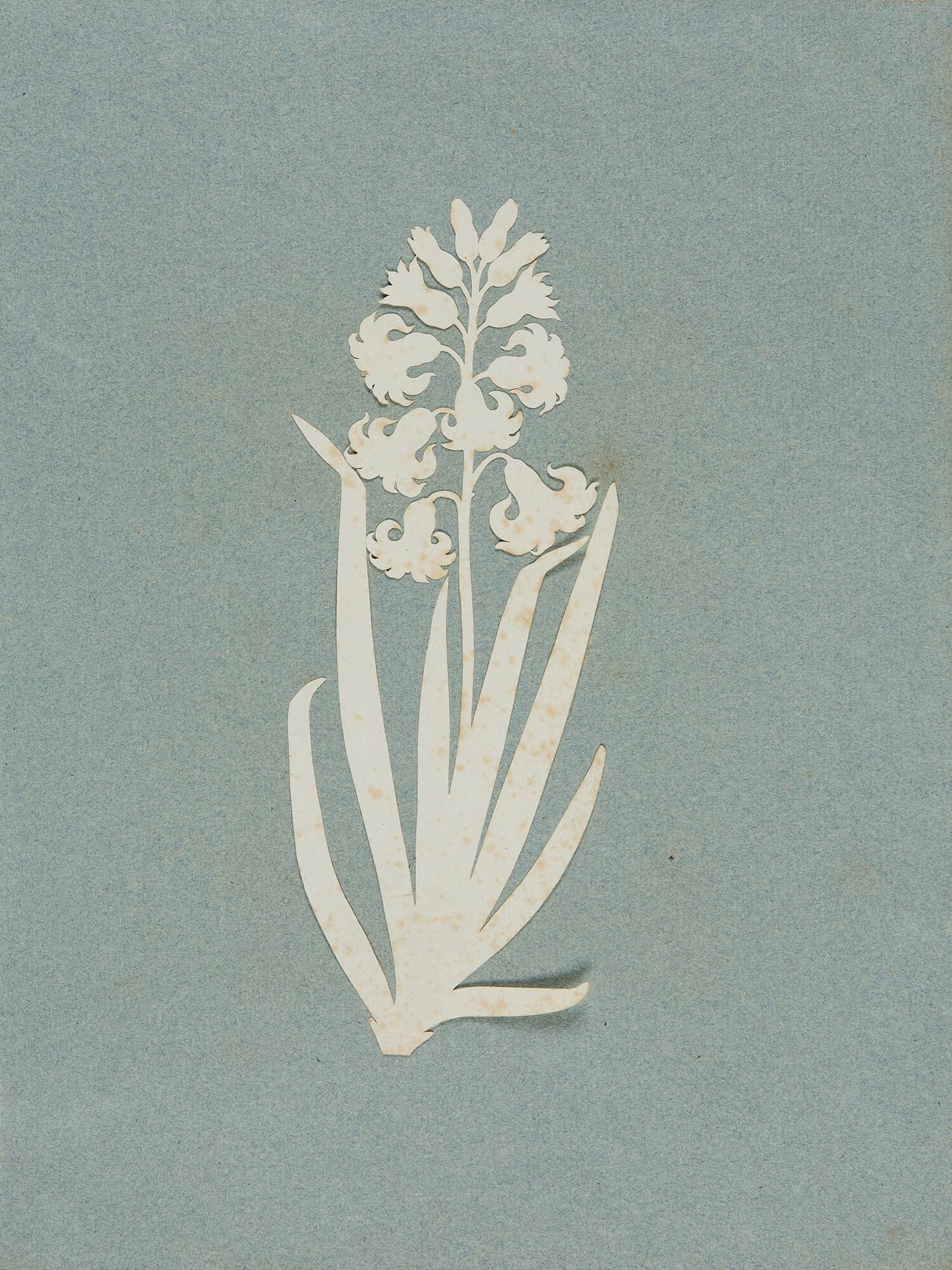 Philipp Otto Runge - Hyazinthe.