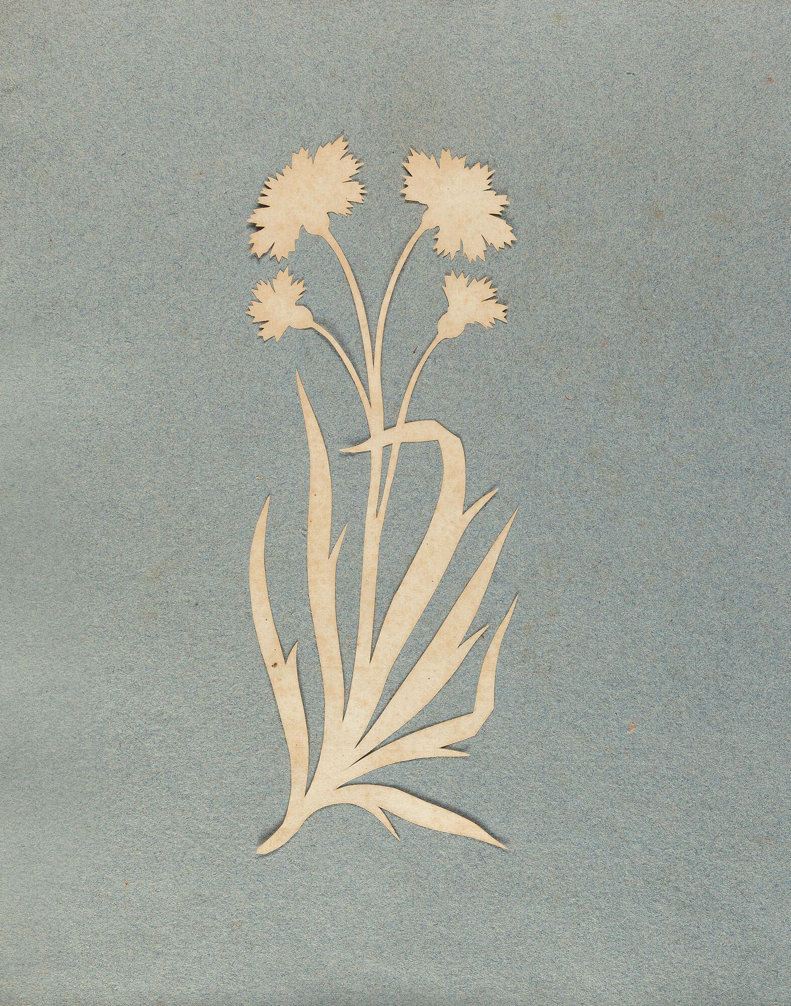 Philipp Otto Runge - Kornblume.