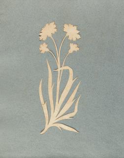 Philipp Otto Runge - Kornblume.