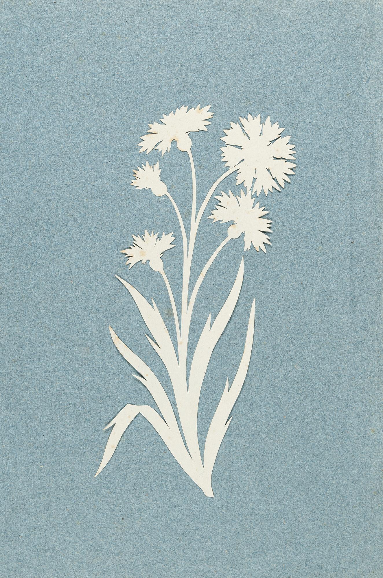 Philipp Otto Runge - Kornblume