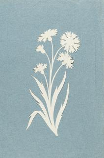 Philipp Otto Runge - Kornblume