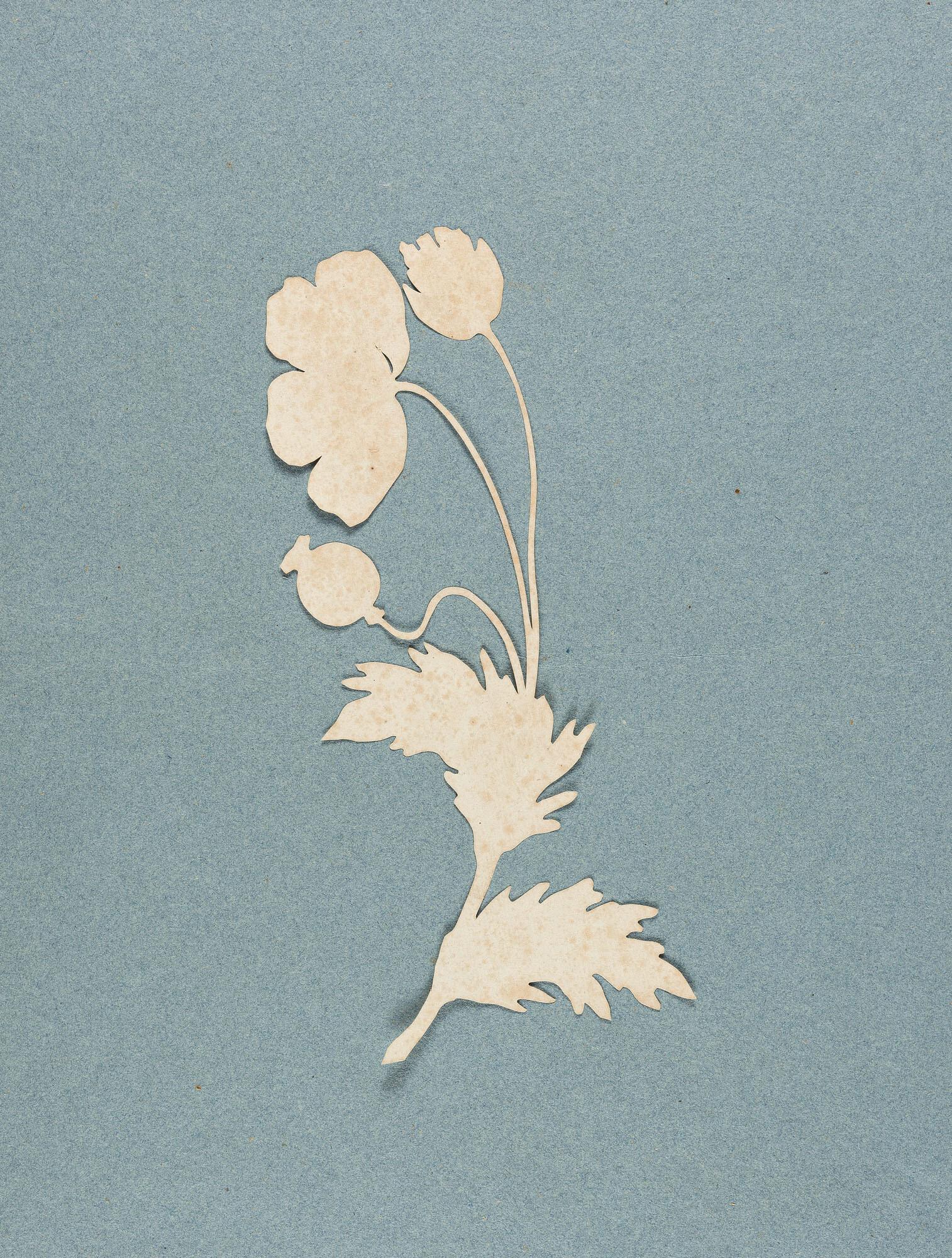 Philipp Otto Runge - Mohnblume.