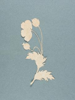 Philipp Otto Runge - Mohnblume.