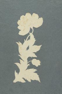 Philipp Otto Runge - Mohnblume.