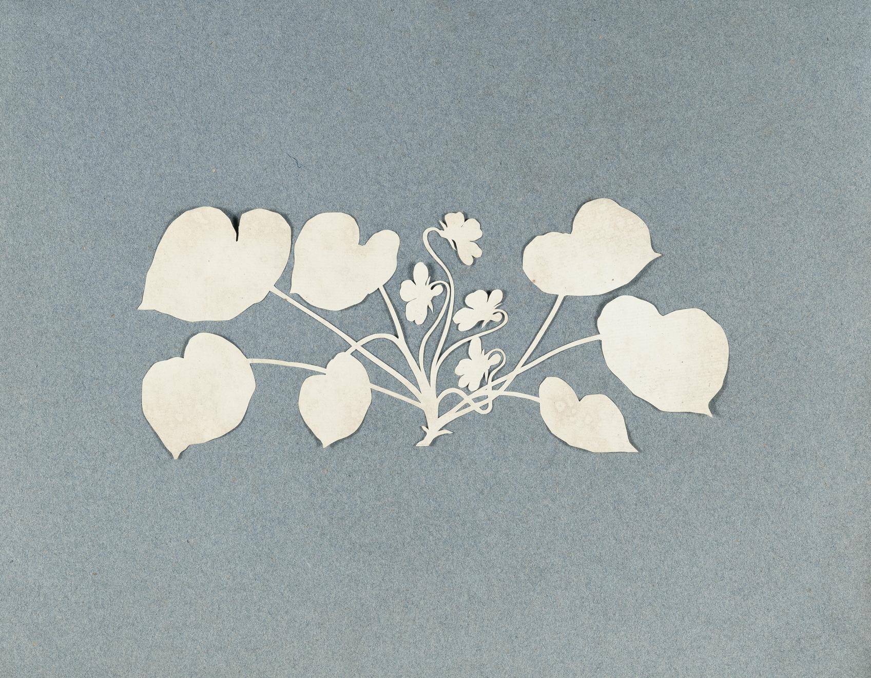 Philipp Otto Runge - Veilchen