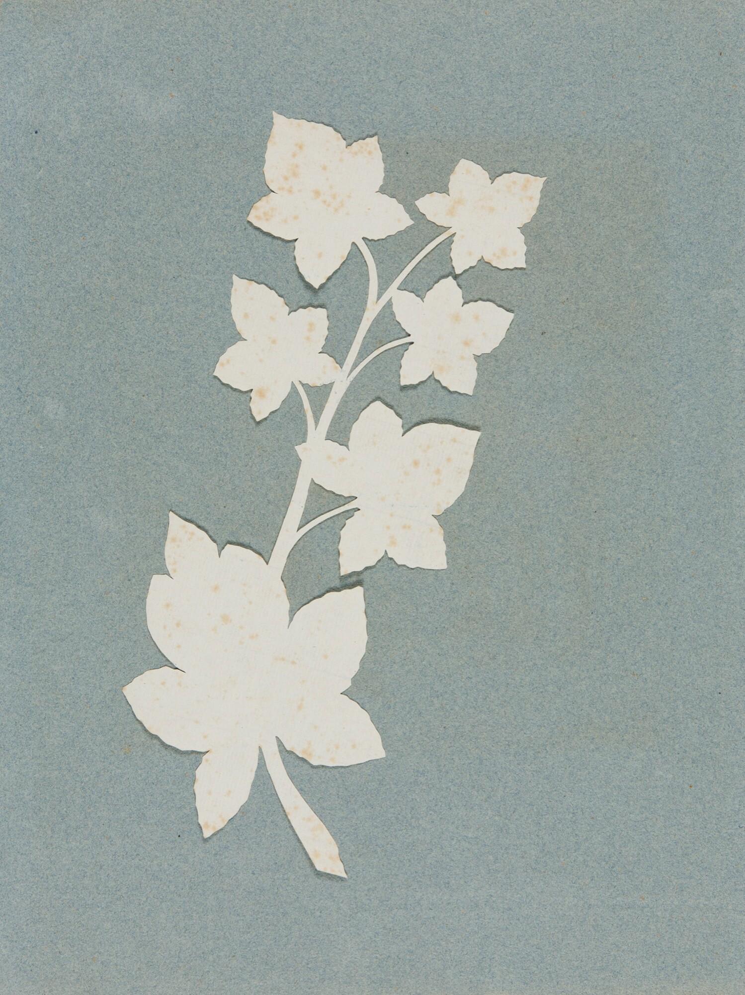 Philipp Otto Runge - Weinlaub.