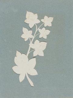 Philipp Otto Runge - Weinlaub.