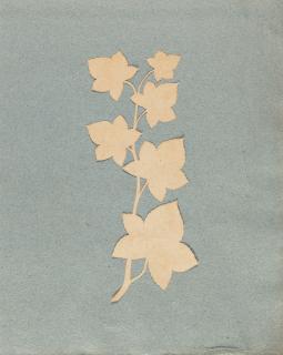 Philipp Otto Runge - Weinlaub.