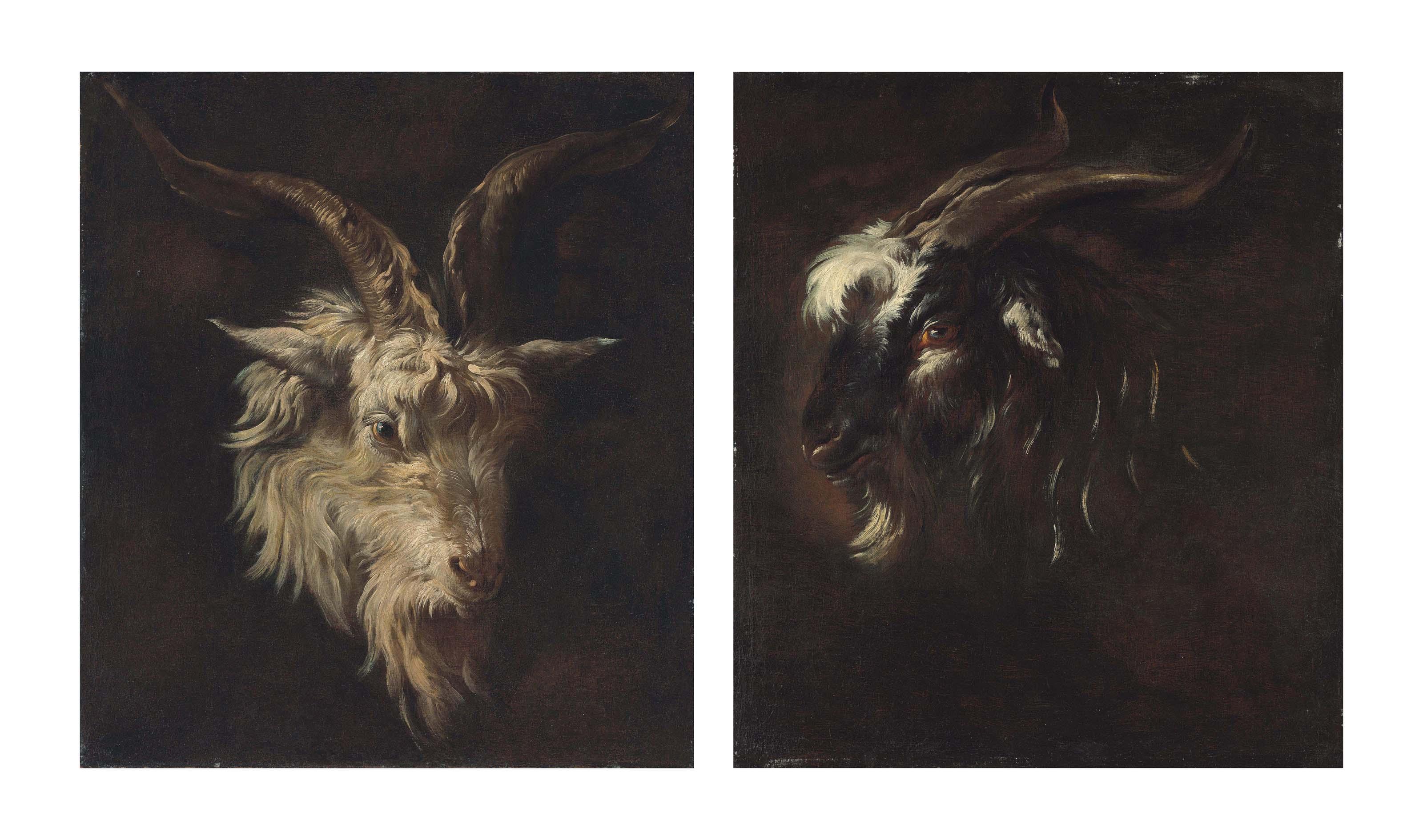 Philipp Peter Roos - Head study of a white goat; and Head study of a black goat