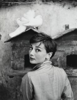 Philippe Halsman - Audrey Hepburn With Doves
