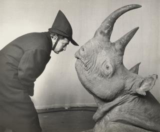 Philippe Halsman - Dali and Rhinoceros, 1981