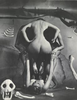 Philippe Halsman - \'Dali\'S Leopard Skull\'