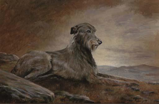 Phillip Sanders - An Irish Wolfhound