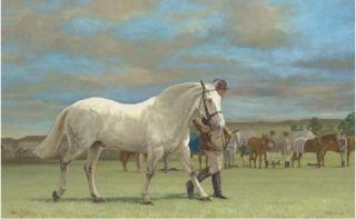 Phillip Sanders - Heavy horse class, Ludlow, Shropshire