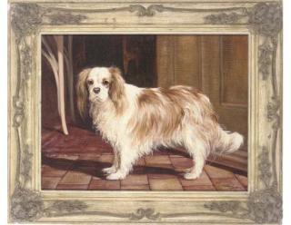 Phillip Sanders - Stubbs, A King Charles Spaniel