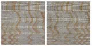 Phillip Taaffe - Adam, Eve