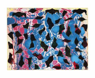 Phillip Taaffe - Bassam