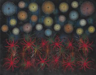 Phillip Taaffe - Desert Nocturne