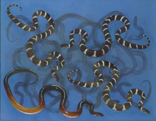 Phillip Taaffe - King Snakes in Blue