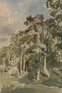 Phillip Wilson Steer, O.C., N.E.A.C. - Trees